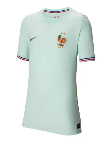 Maillot Nike France Extérieur