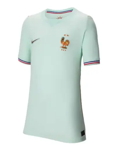 Maillot Nike France Extérieur